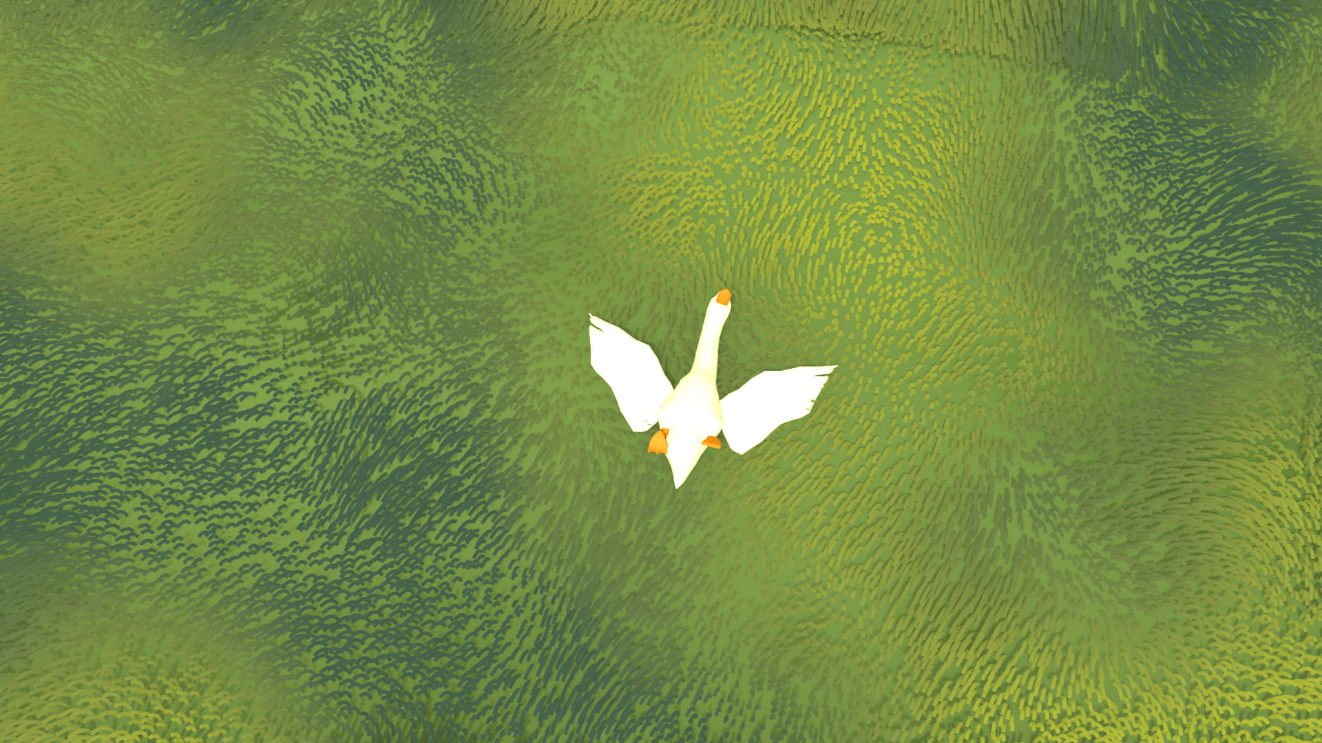 Testbild